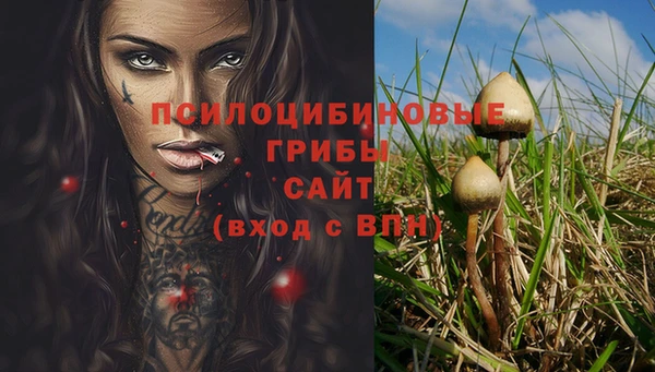 трава Армянск