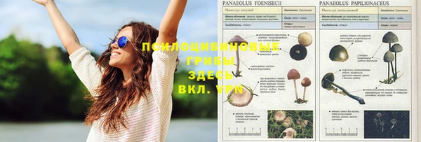 метамфетамин Алексеевка