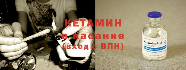 ПСИЛОЦИБИНОВЫЕ ГРИБЫ Арсеньев