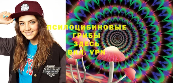 ПСИЛОЦИБИНОВЫЕ ГРИБЫ Арсеньев