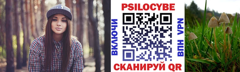Псилоцибиновые грибы MAGIC MUSHROOMS  Бологое 